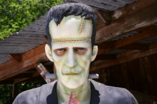 car insurance mistakes frankenstein